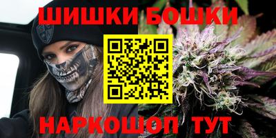 гидра Гатчина