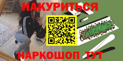 гидра Гатчина