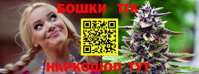 гидра Гатчина