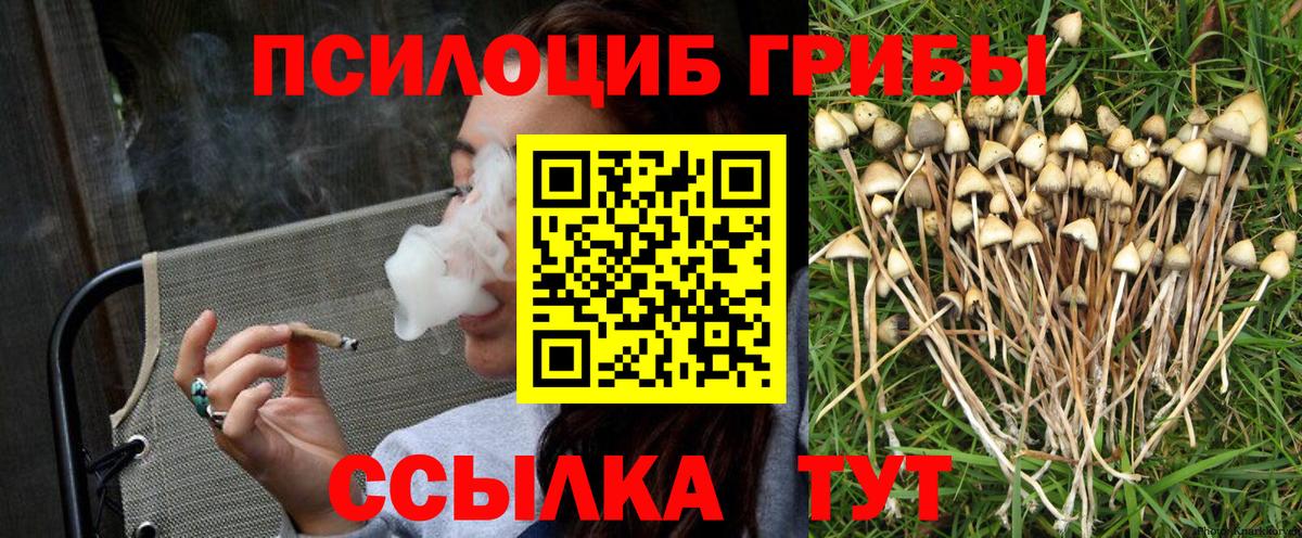 Ливны  Псилоцибиновые грибы мицелий  Вход с VPN 