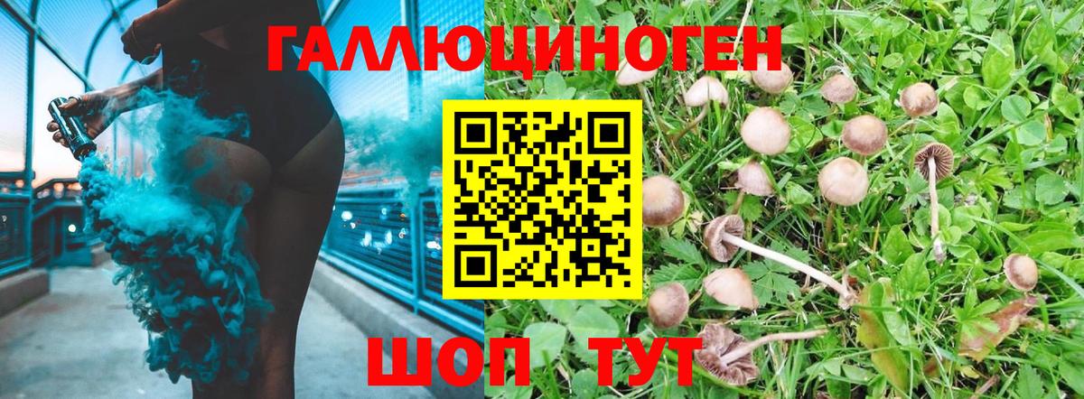 Галлюциногенные грибы Magic Shrooms Ливны