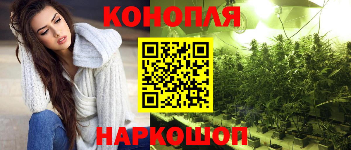 Бошки Шишки конопля Ливны